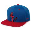 Marvel Marvel "The Amazing Spider-Man" Tlb Hat Wholesale